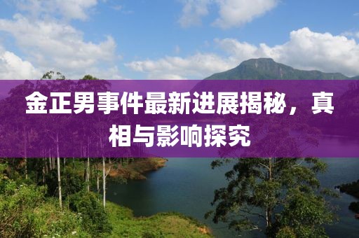 金正男事件最新進展揭秘，真相與影響探究
