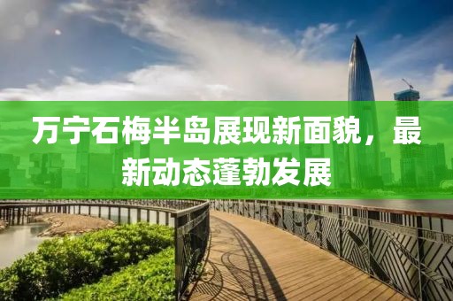 萬寧石梅半島展現新面貌，最新動態蓬勃發展