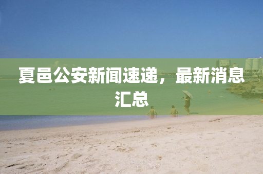 夏邑公安新聞速遞，最新消息匯總