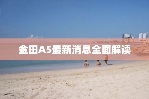 寂寞安撫 第13頁