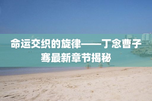 命運(yùn)交織的旋律——丁念曹子騫最新章節(jié)揭秘