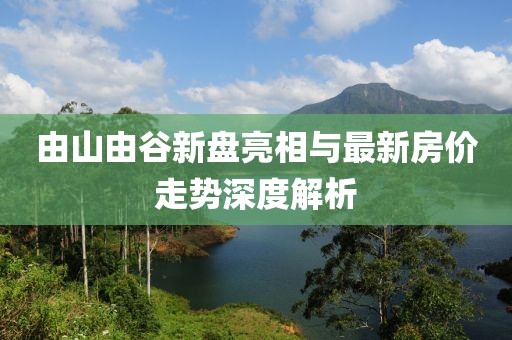 由山由谷新盤亮相與最新房價(jià)走勢深度解析