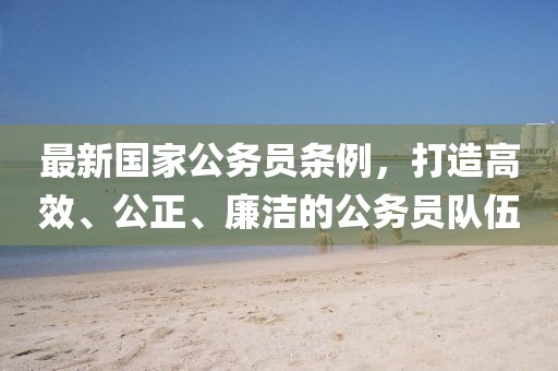 最新國家公務員條例，打造高效、公正、廉潔的公務員隊伍