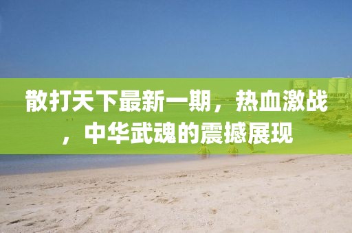 散打天下最新一期，熱血激戰(zhàn)，中華武魂的震撼展現(xiàn)
