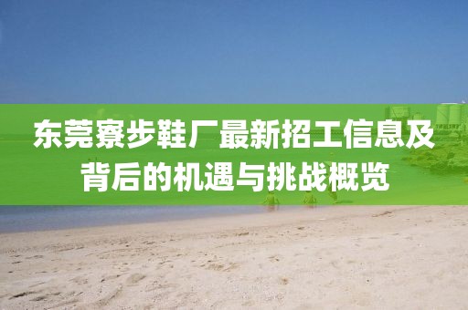 東莞寮步鞋廠最新招工信息及背后的機遇與挑戰(zhàn)概覽