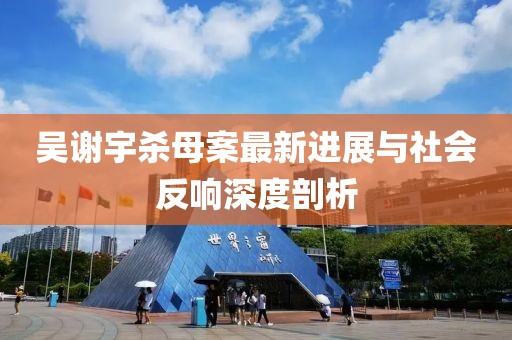 吳謝宇殺母案最新進(jìn)展與社會(huì)反響深度剖析
