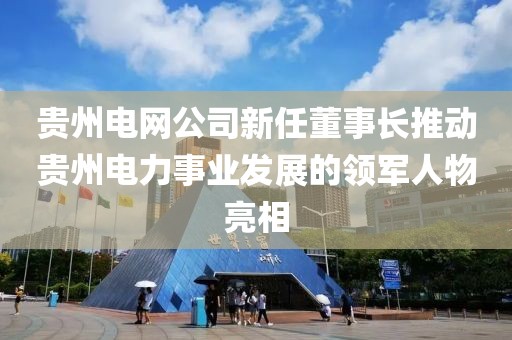 貴州電網公司新任董事長推動貴州電力事業發展的領軍人物亮相