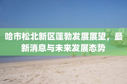 哈市松北新區蓬勃發展展望，最新消息與未來發展態勢