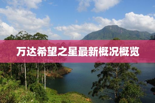 萬達(dá)希望之星最新概況概覽