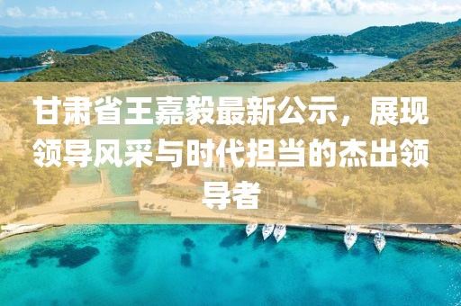 甘肅省王嘉毅最新公示，展現領導風采與時代擔當的杰出領導者
