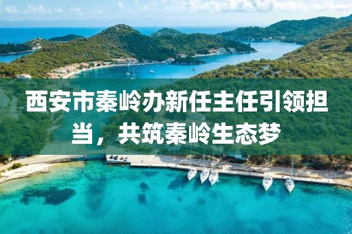 西安市秦嶺辦新任主任引領(lǐng)擔(dān)當(dāng)，共筑秦嶺生態(tài)夢(mèng)