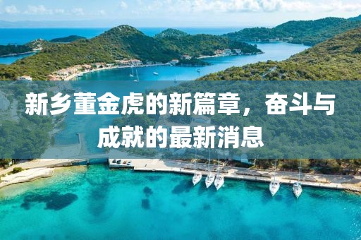 新鄉董金虎的新篇章，奮斗與成就的最新消息