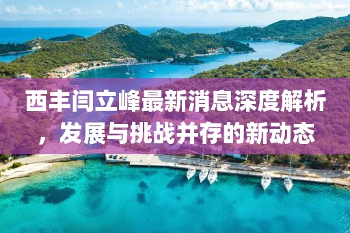 西豐閆立峰最新消息深度解析，發展與挑戰并存的新動態