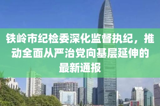 鐵嶺市紀檢委深化監(jiān)督執(zhí)紀，推動全面從嚴治黨向基層延伸的最新通報