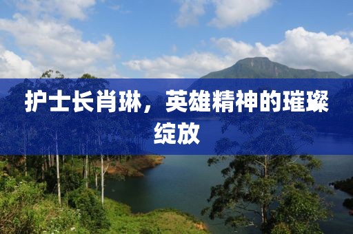 護士長肖琳，英雄精神的璀璨綻放