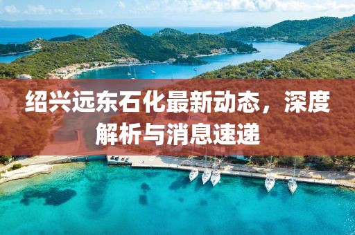 紹興遠東石化最新動態，深度解析與消息速遞