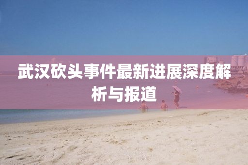 武漢砍頭事件最新進(jìn)展深度解析與報道