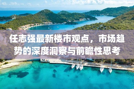 任志強(qiáng)最新樓市觀點(diǎn)，市場(chǎng)趨勢(shì)的深度洞察與前瞻性思考