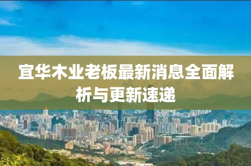 宜華木業(yè)老板最新消息全面解析與更新速遞