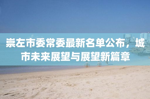 崇左市委常委最新名單公布，城市未來展望與展望新篇章