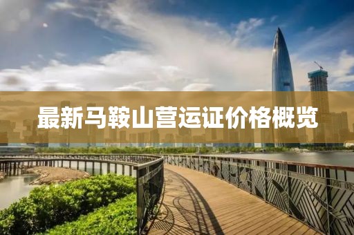 最新馬鞍山營運證價格概覽
