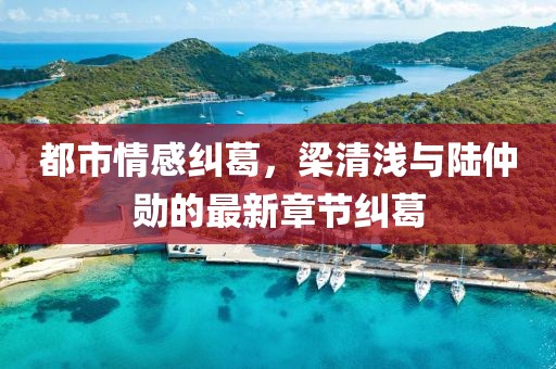 都市情感糾葛，梁清淺與陸仲勛的最新章節(jié)糾葛