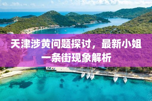 天津涉黃問題探討，最新小姐一條街現(xiàn)象解析