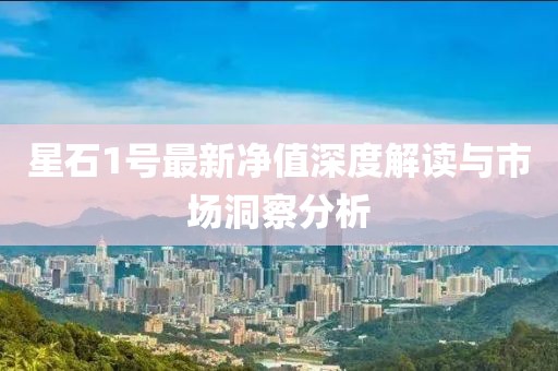 星石1號(hào)最新凈值深度解讀與市場(chǎng)洞察分析