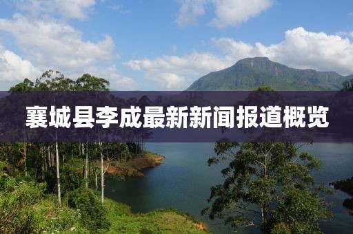 襄城縣李成最新新聞報(bào)道概覽