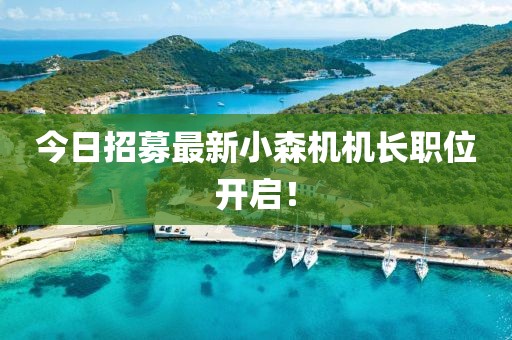 今日招募最新小森機機長職位開啟！