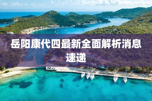 岳陽康代四最新全面解析消息速遞