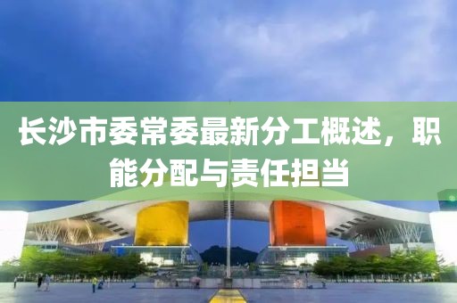 長沙市委常委最新分工概述，職能分配與責(zé)任擔(dān)當(dāng)