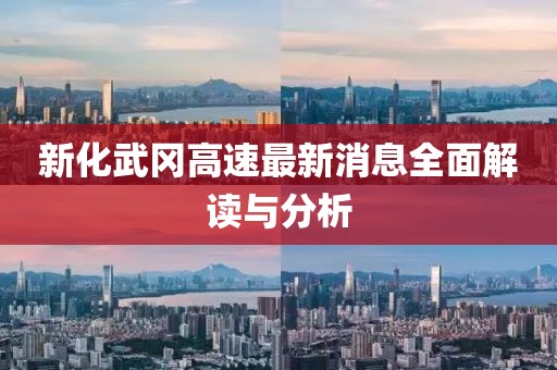 新化武岡高速最新消息全面解讀與分析