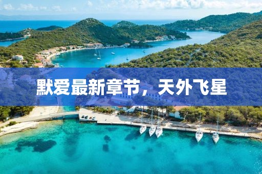 默愛最新章節，天外飛星