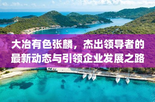 大冶有色張麟，杰出領導者的最新動態與引領企業發展之路