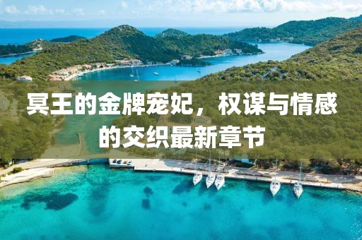 冥王的金牌寵妃，權(quán)謀與情感的交織最新章節(jié)