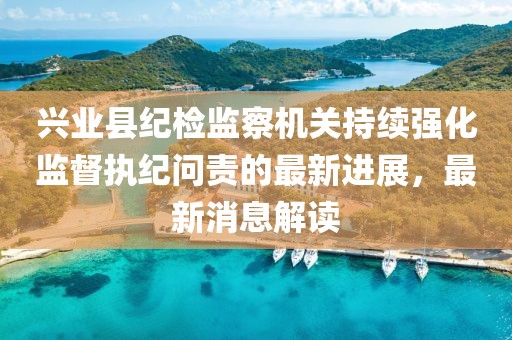 興業縣紀檢監察機關持續強化監督執紀問責的最新進展，最新消息解讀