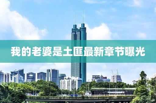 我的老婆是土匪最新章節曝光