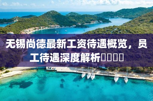 無錫尚德最新工資待遇概覽，員工待遇深度解析????