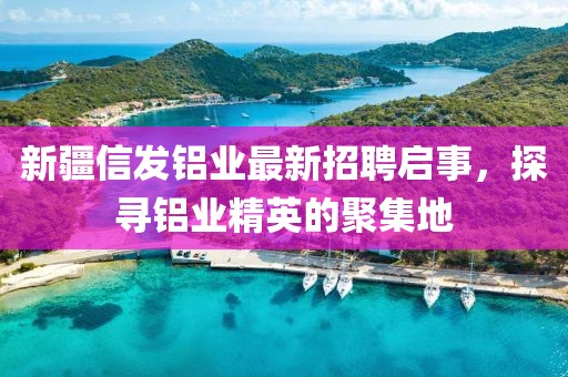 新疆信發鋁業最新招聘啟事，探尋鋁業精英的聚集地