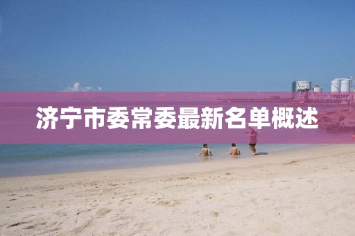 濟(jì)寧市委常委最新名單概述