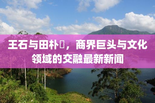王石與田樸琤，商界巨頭與文化領域的交融最新新聞