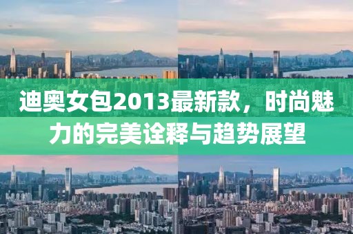 迪奧女包2013最新款，時(shí)尚魅力的完美詮釋與趨勢(shì)展望