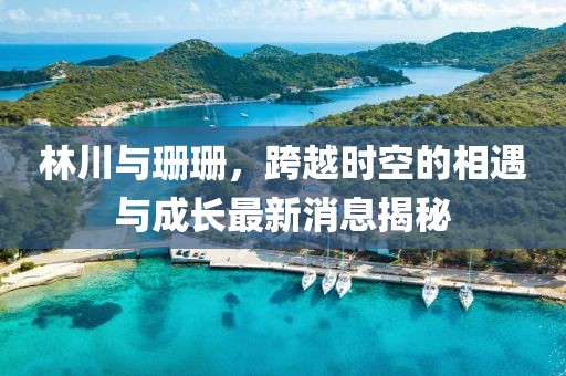 林川與珊珊，跨越時空的相遇與成長最新消息揭秘