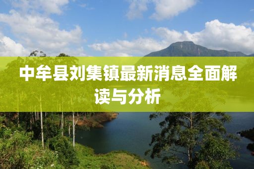 中牟縣劉集鎮最新消息全面解讀與分析