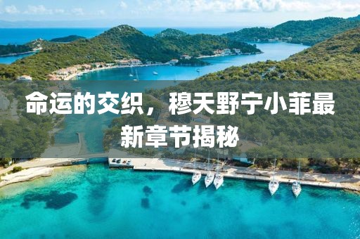 命運的交織，穆天野寧小菲最新章節揭秘