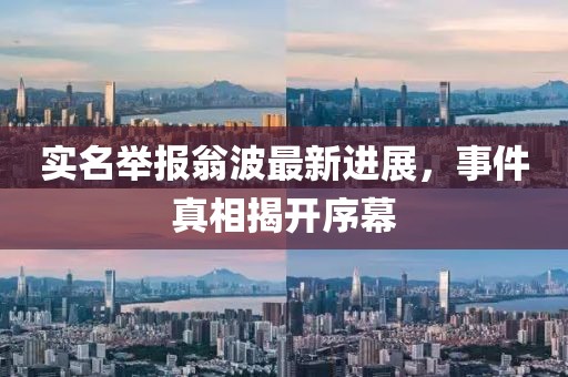 實(shí)名舉報(bào)翁波最新進(jìn)展，事件真相揭開(kāi)序幕