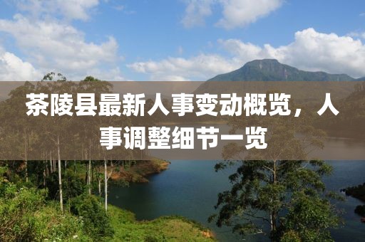 茶陵縣最新人事變動概覽，人事調(diào)整細(xì)節(jié)一覽