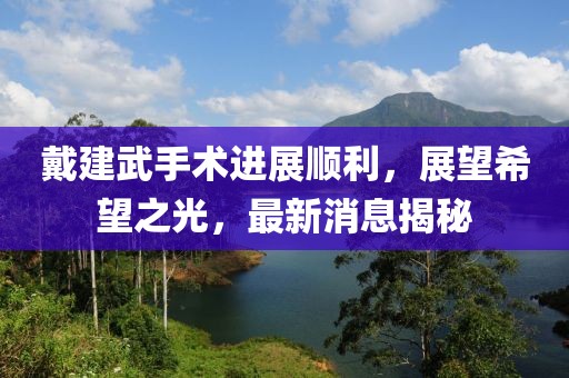 戴建武手術(shù)進(jìn)展順利，展望希望之光，最新消息揭秘