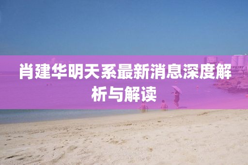 肖建華明天系最新消息深度解析與解讀